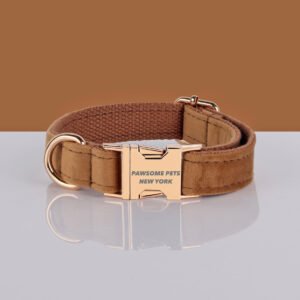 PAWSOME DOG COLLAR - #1