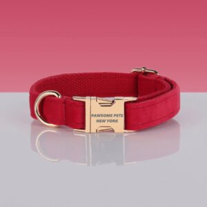 PAWSOME DOG COLLAR - #23