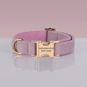 PAWSOME DOG COLLAR - #10