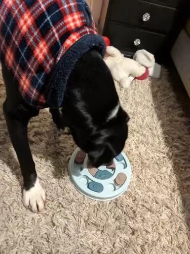 New Interactive Toy IQ Training Pets Slow Feeder Bowl Puzzle Eating Toys for Dogs and Cats - Image 2