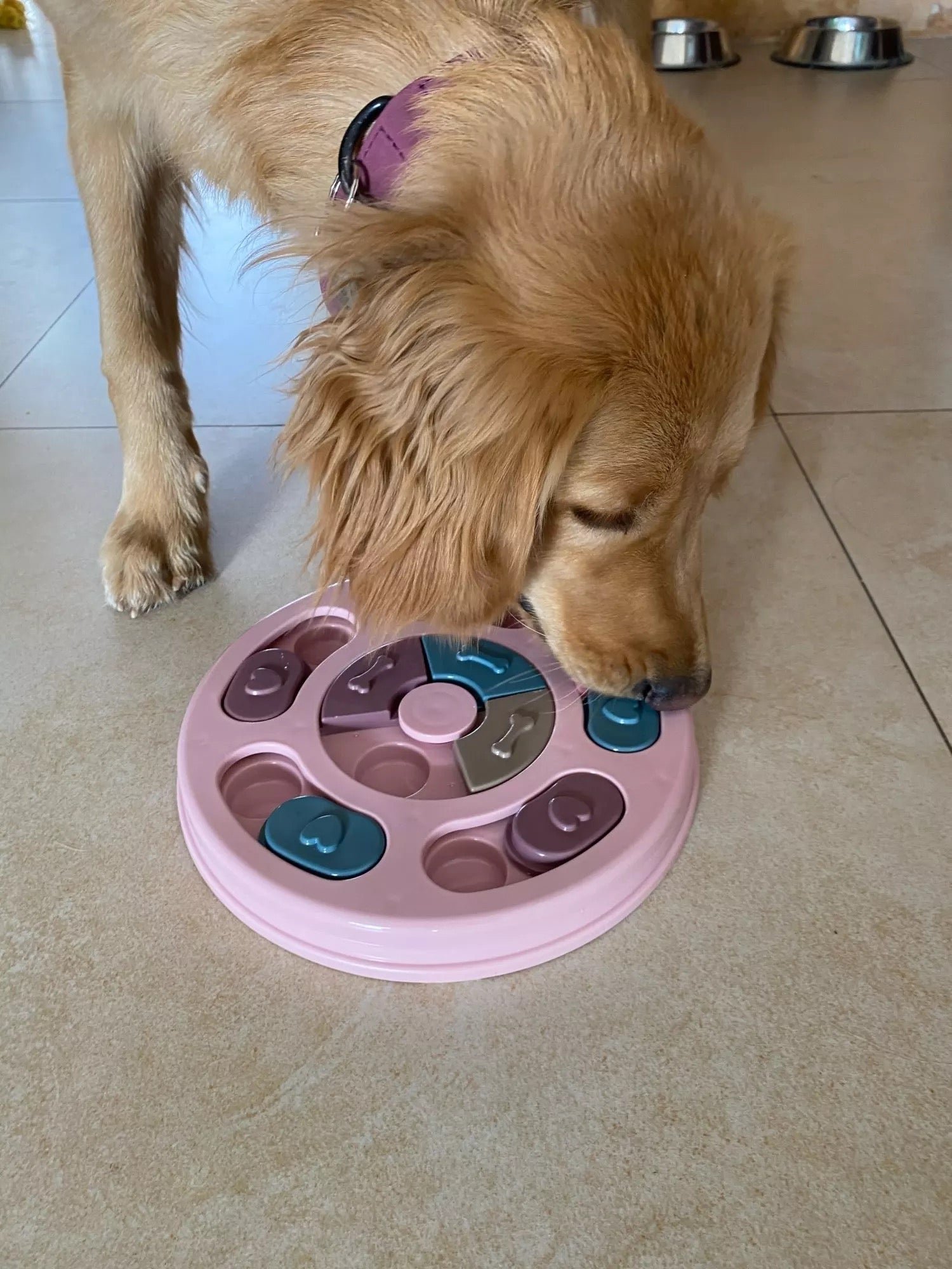 New Interactive Toy IQ Training Pets Slow Feeder Bowl Puzzle Eating Toys for Dogs and Cats - Image 5