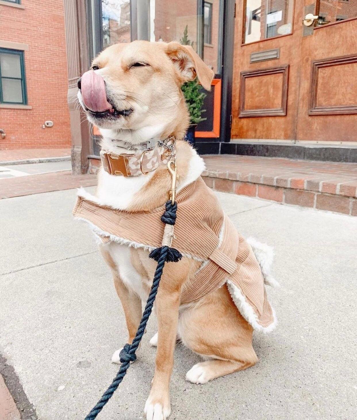 ROPE LEASH - OMBRE OLIVE - Image 4