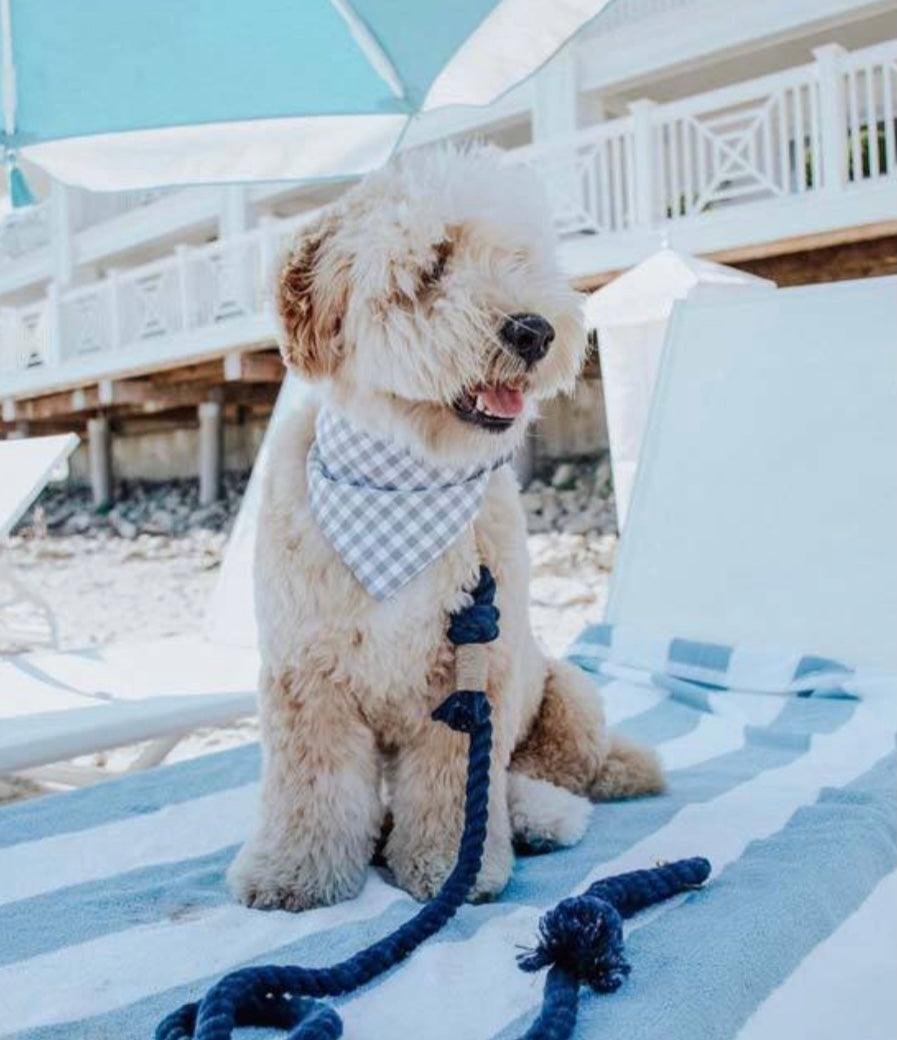 ROPE LEASH - SPRINKLES - Image 2