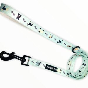 LEASH - DAPPER DOGGY