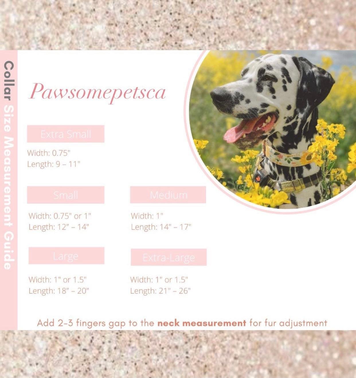 BUNDLE - UNDERWATER (7 PIECES) - Image 2