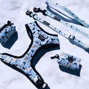 BUNDLE - DAPPER DOGGY (4 PIECES)