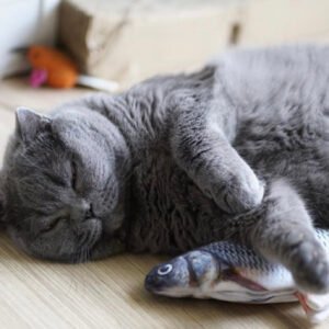 Catnip Fish with sound for Pets