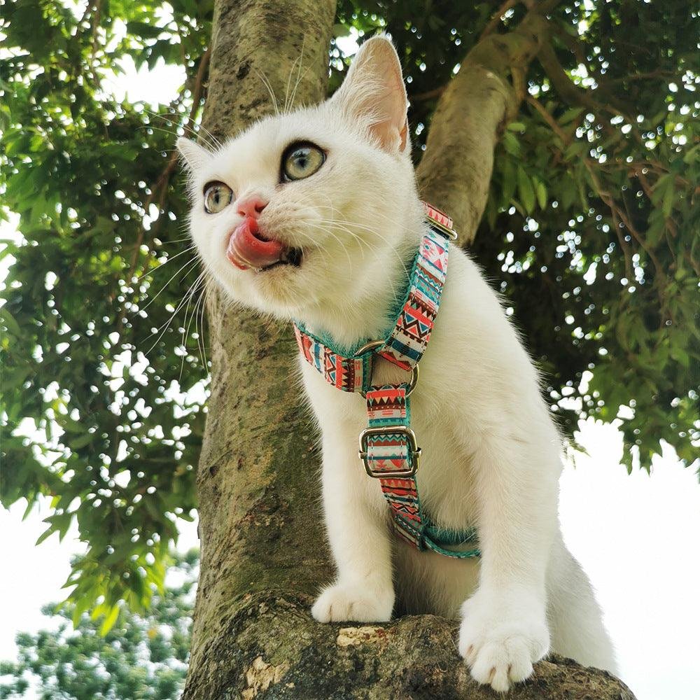 STEP IN HARNESS - OH MY BUBBLES - Image 4