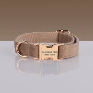 PAWSOME DOG COLLAR - #8
