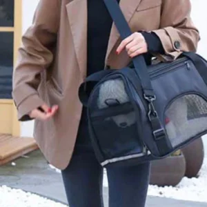 Carriers and transport for pets