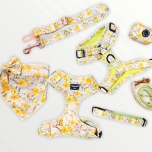 BUNDLE - FORSYTHIA FLOWER (7 PIECES)