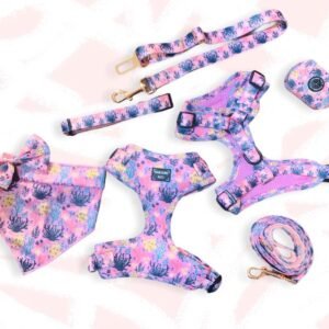 BUNDLE - UNDERWATER (7 PIECES)