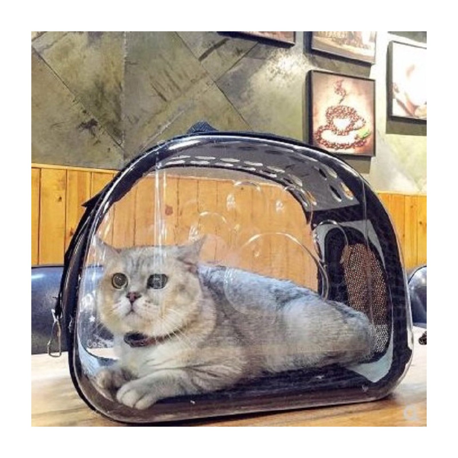 Carriers for cats and dogs - Image 2