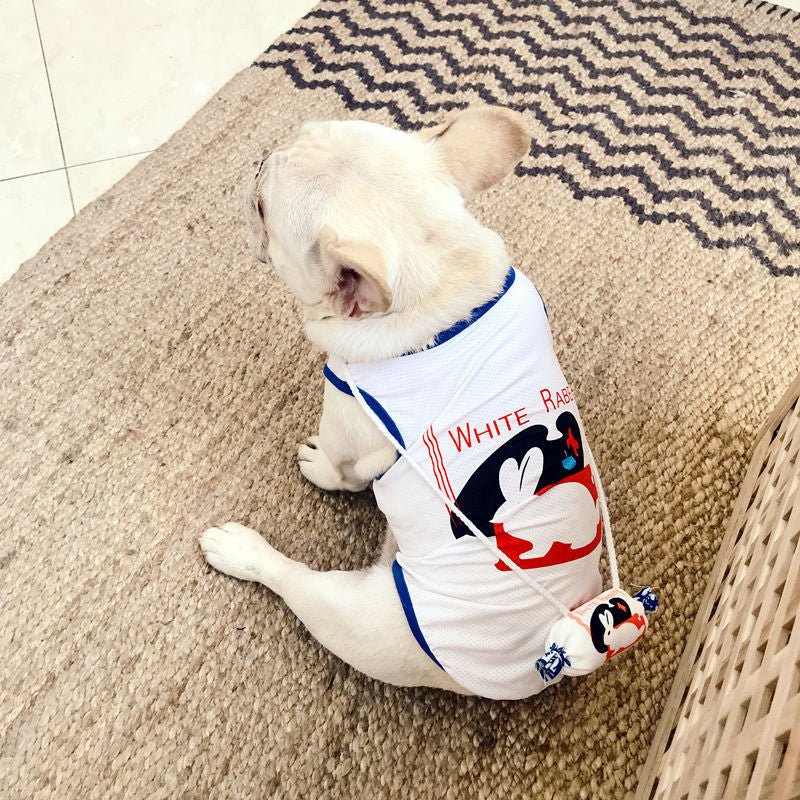 Different Brands Funny Pets Costume - Image 2