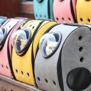 Backpack for cats and dogs