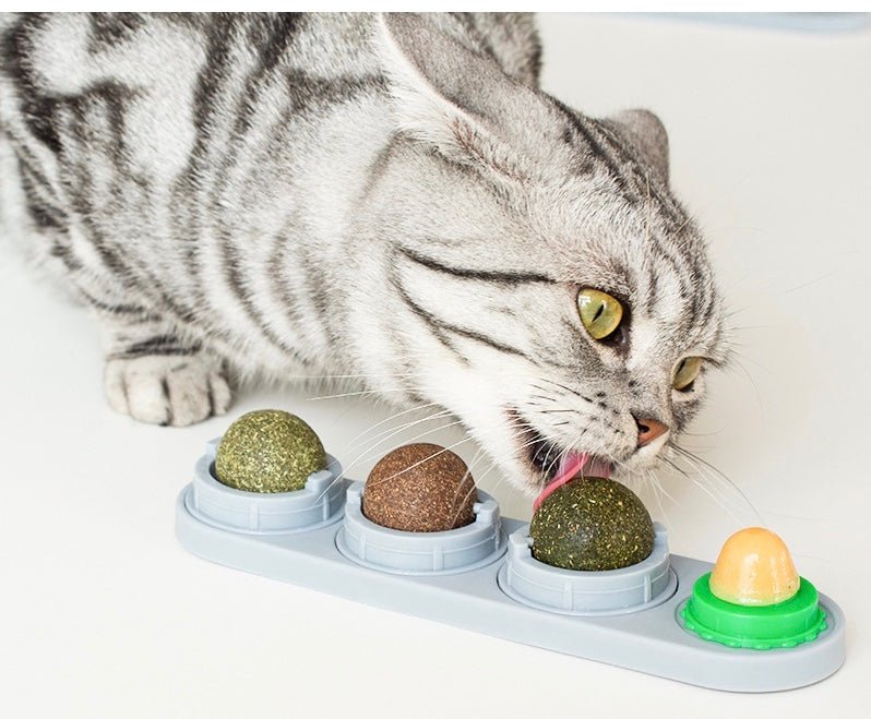 Catnip Treats Assortment - Image 3