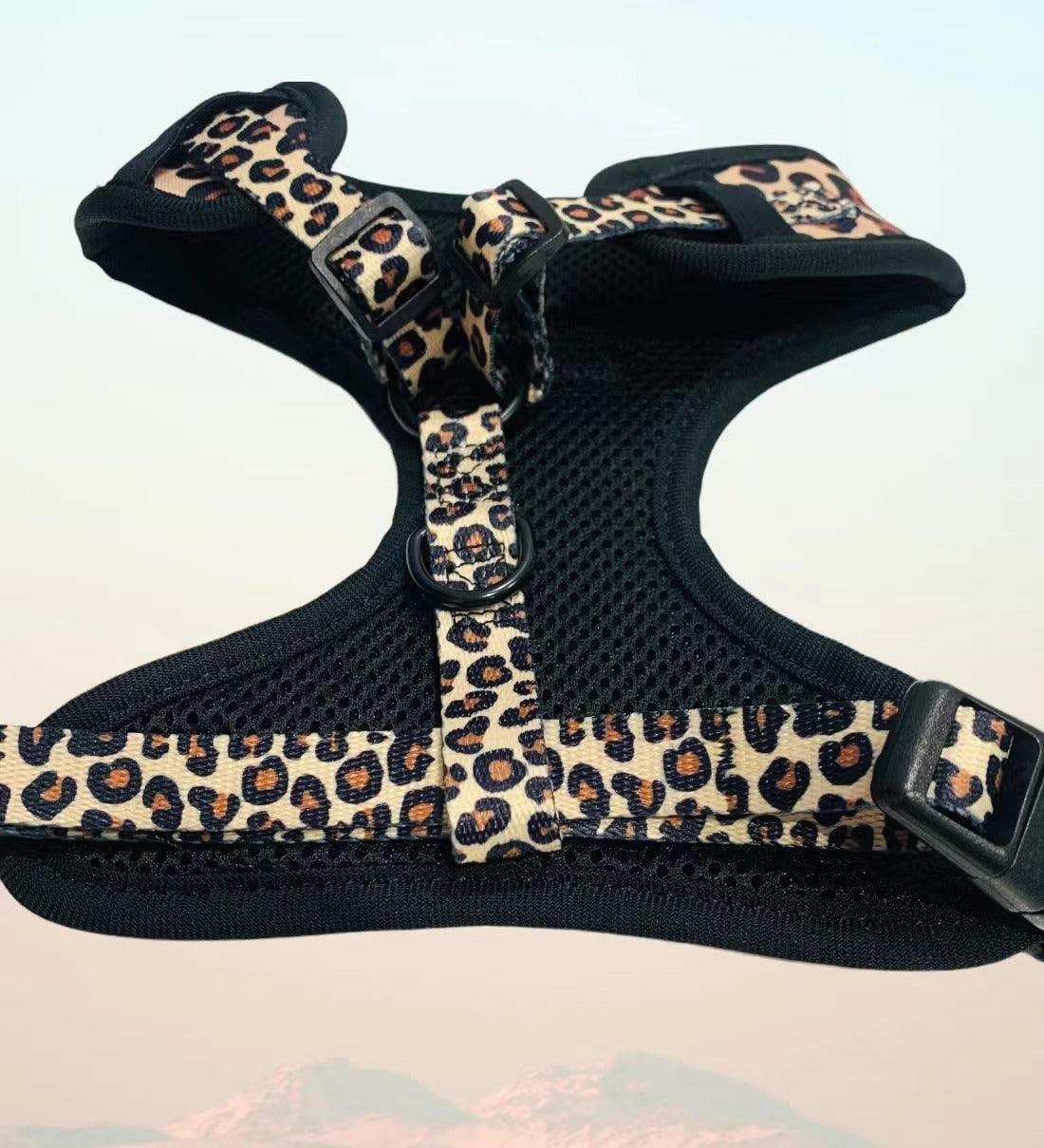 BUNDLE - LEOPARD (3 PIECES) - Image 5