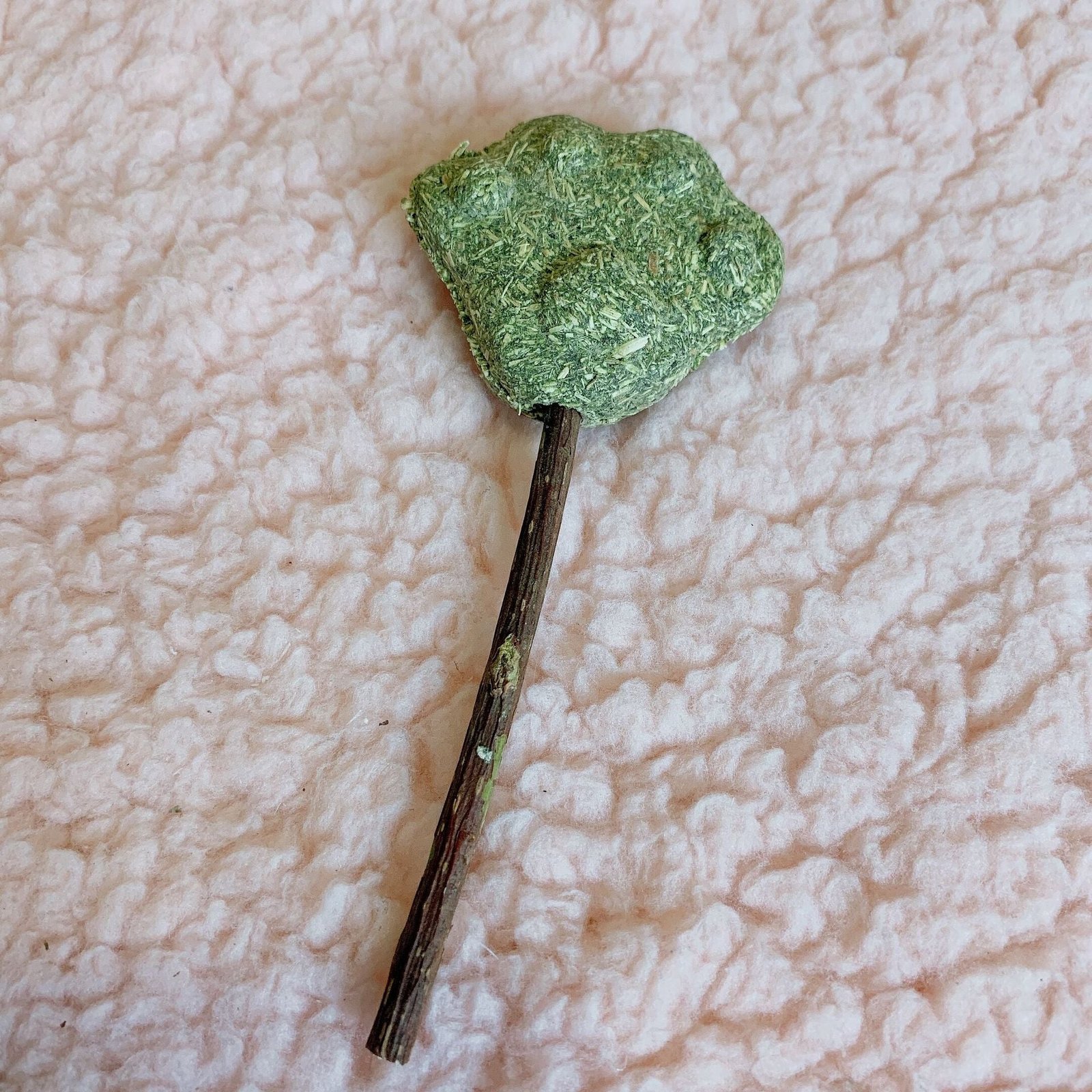 Catwort lollipop - Image 4