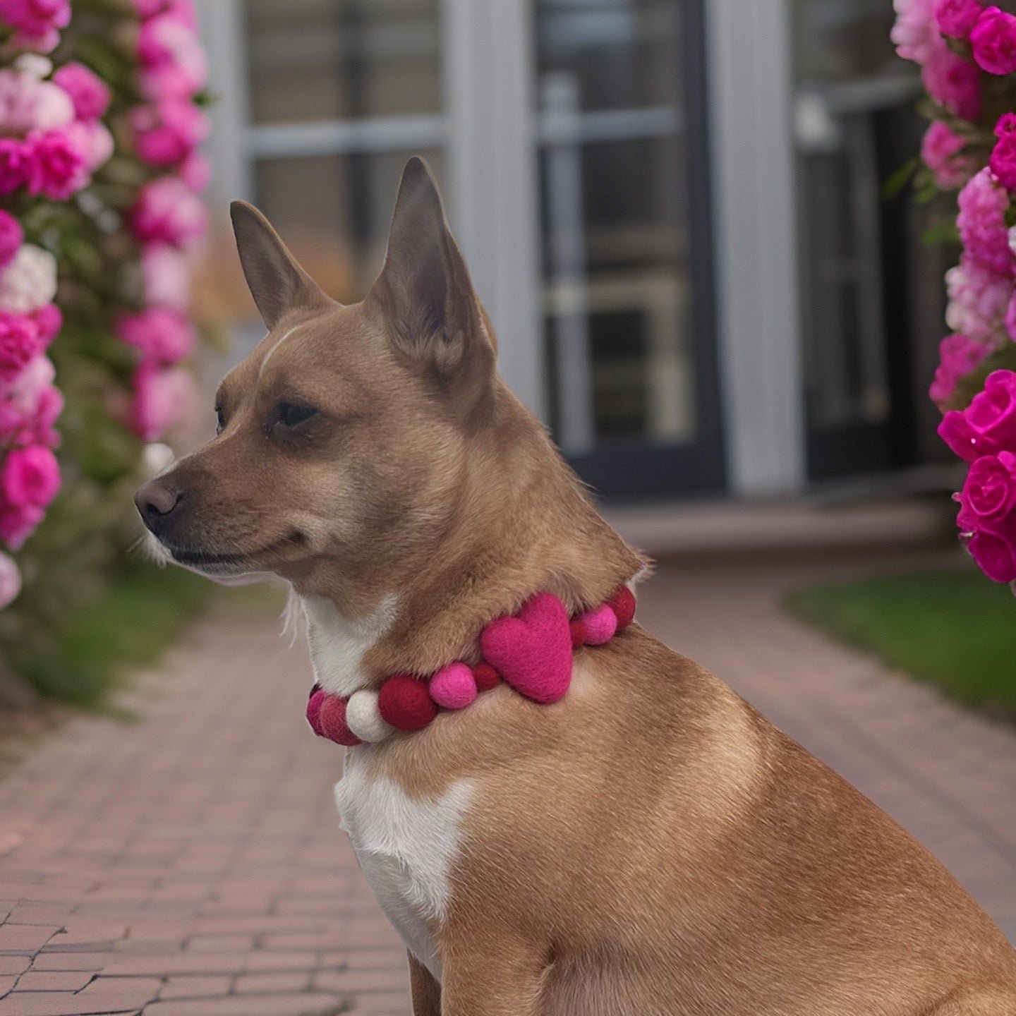 Valentine - Pom Pom Dog Collar - Image 4