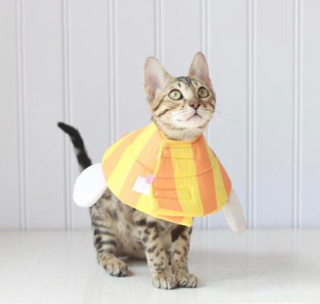 Cute Soft Cat Cone - Image 3