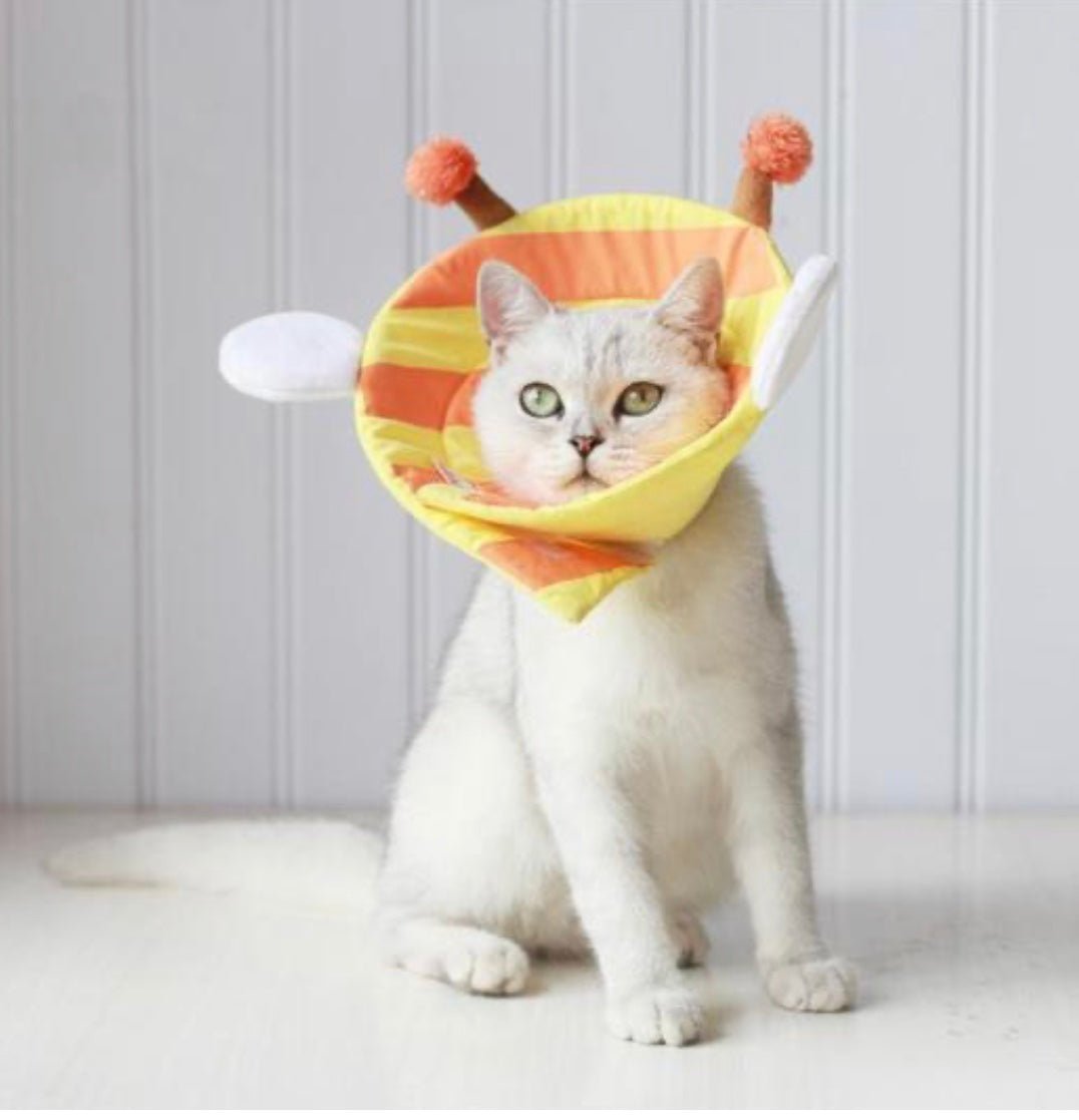 Cute Soft Cat Cone - Image 4