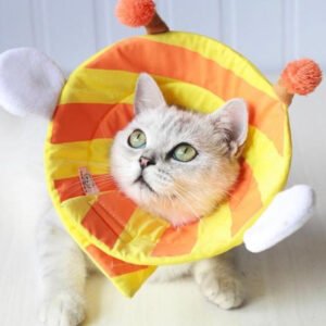 Cute Soft Cat Cone
