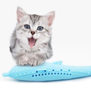 Interactive Cat Toothbrush
