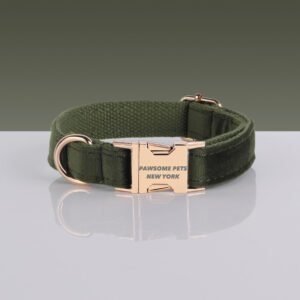 PAWSOME DOG COLLAR - #17