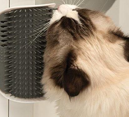 Cat Corner Groomer - Image 3