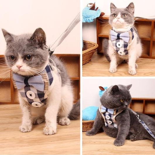 PAWSOME Cats Harness and Leash Set - Image 3