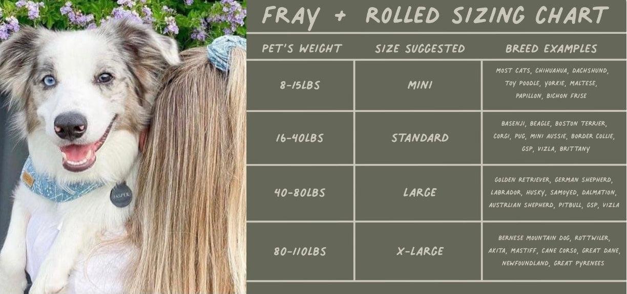 BANDANA - HUDSON - Image 3