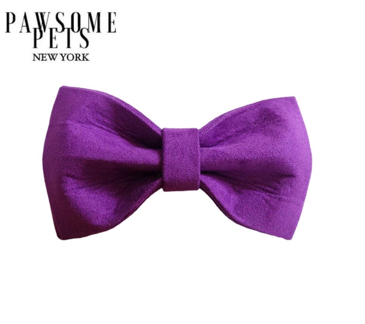 BOWTIE - PURPLE LOVE