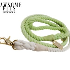 ROPE LEASH - SOUR LIME