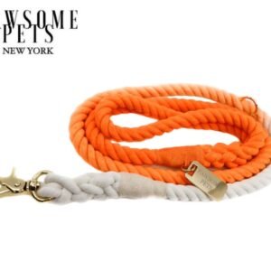 ROPE LEASH - SANTA MONICA SUNSET