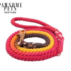 ROPE LEASH - SUNNY DAZE