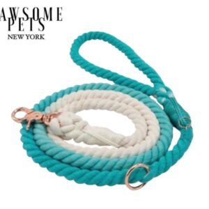ROPE LEASH - OMBRE TEAL