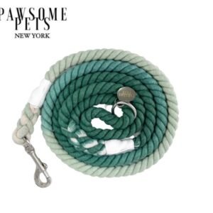ROPE LEASH - OMBRE VENETIAN GREEN