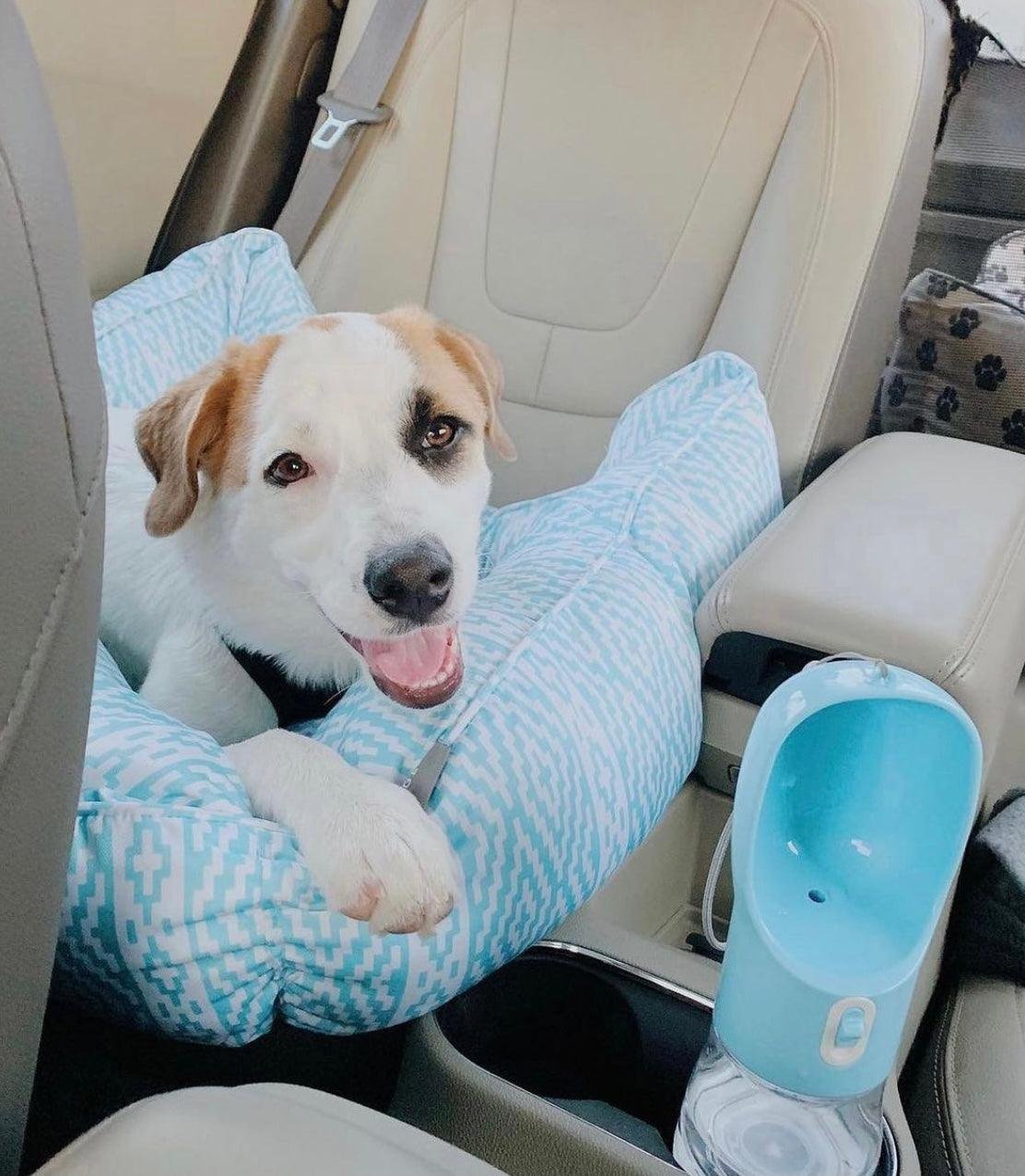 2 IN 1 PORTABLE PET FEEDER - BLUE - Image 3