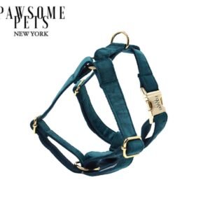 STEP IN HARNESS - EMERALD