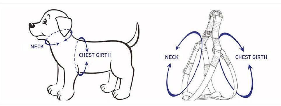 STEP IN HARNESS - BLUE GREY - Image 2