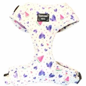 ADJUSTABLE HARNESS - WATERMELON GRAPE SQUEEZE