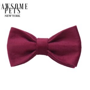 BOWTIE - ROYAL RED