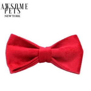 BOWTIE - RED
