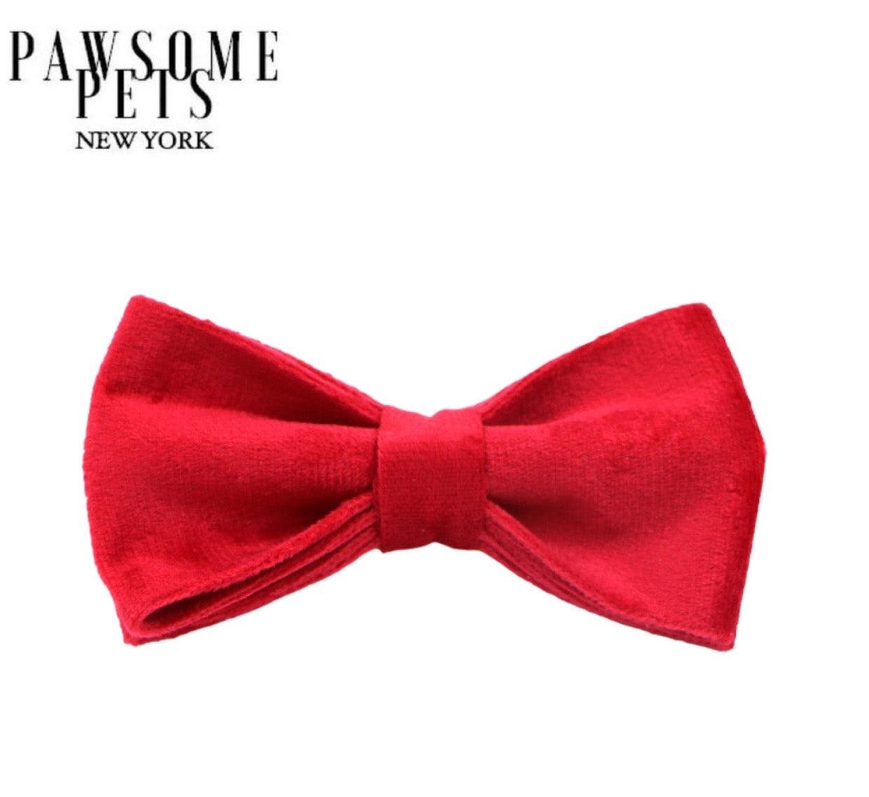 BOWTIE - RED