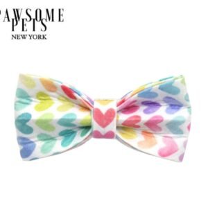 BOWTIE - RAINBOW HEART
