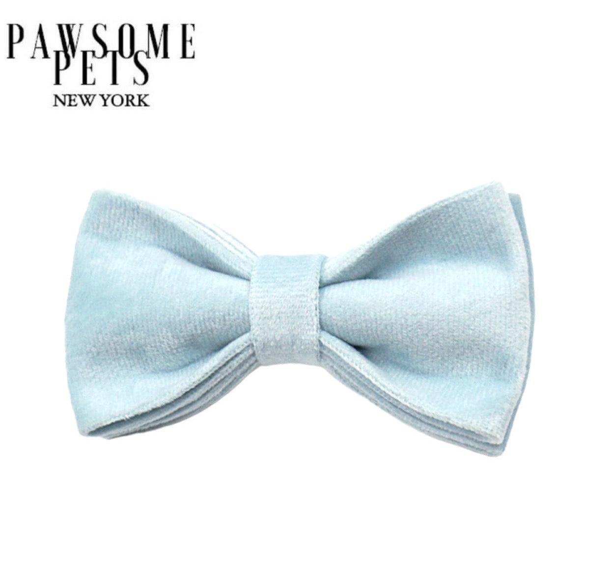 BOWTIE - ICE BLUE