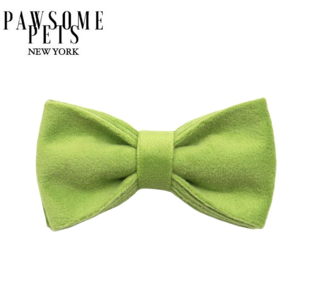 BOWTIE - GRASS GREEN