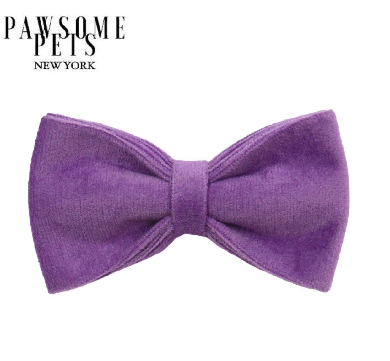 BOWTIE - DARK PURPLE