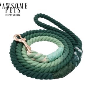 ROPE LEASH - OMBRE DARK GREEN