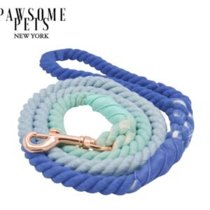 ROPE LEASH - OCEANSIDE RAINBOW